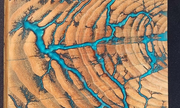 Honey Locust Cutting/Charcuterie Board