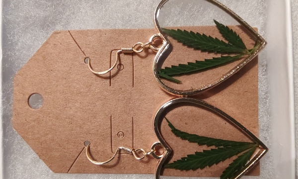 420 gold heart earrings 
